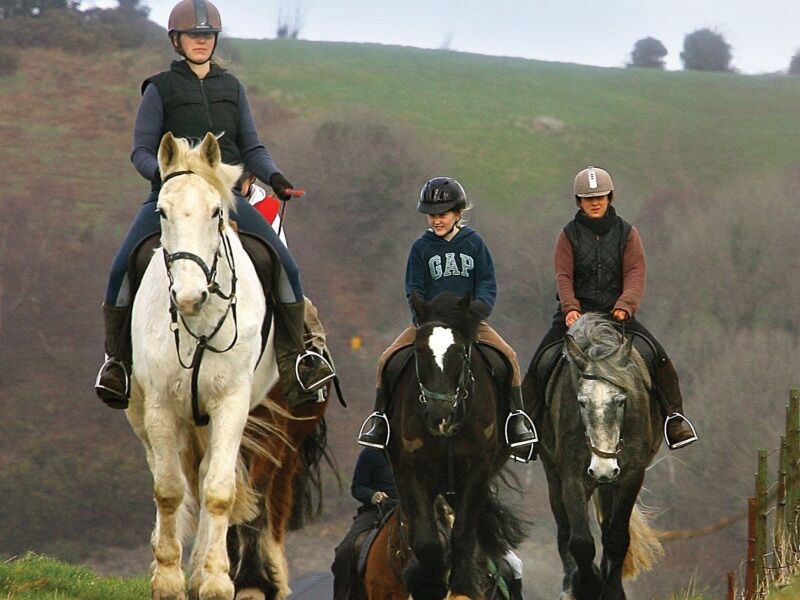Equestrian inside