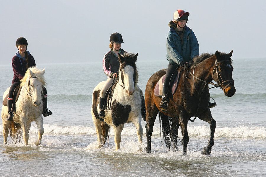 Horses Galloping Rossbeigh11