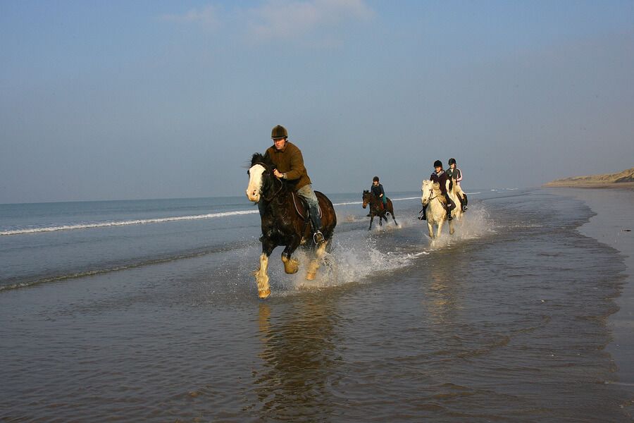 Horses Galloping Rossbeigh5